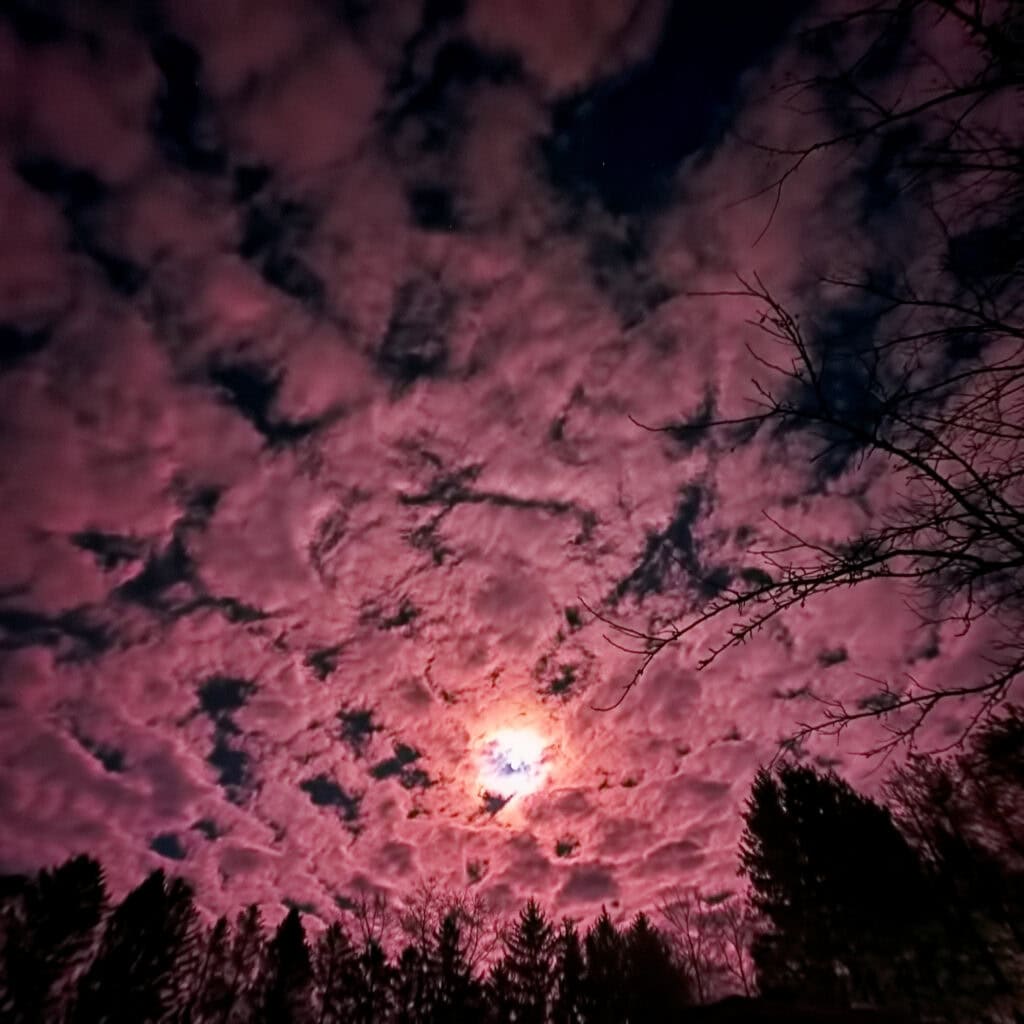 Moon shining through pink clouds over silhouetted trees at night.